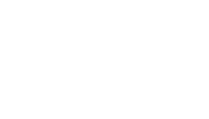 google partner white